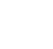 Government icon